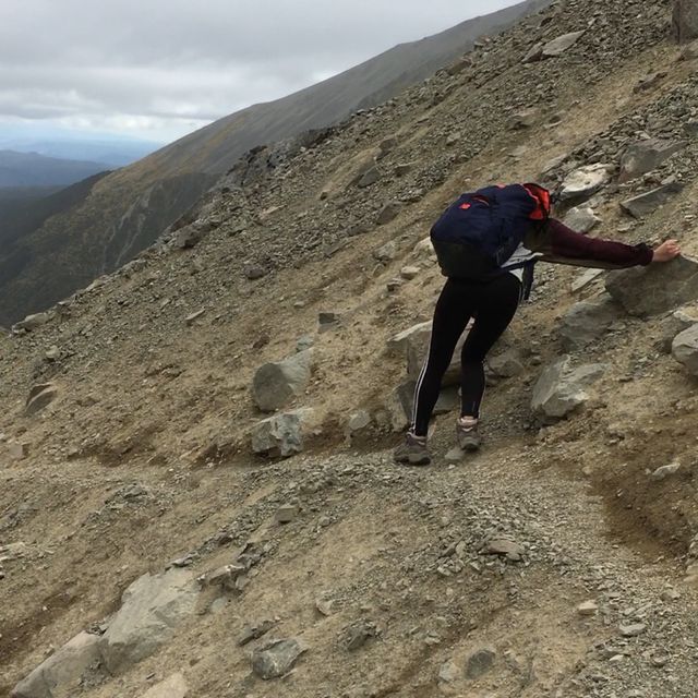 뉴질랜드 대자연🇳🇿 남섬의 트레킹 코스를 소개합니다⛰