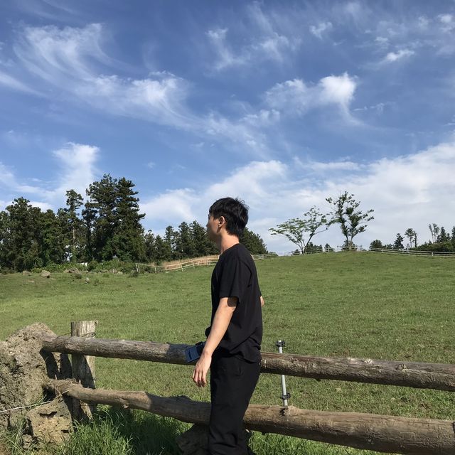청량함이 가득했던 제주 아침미소목장🌿