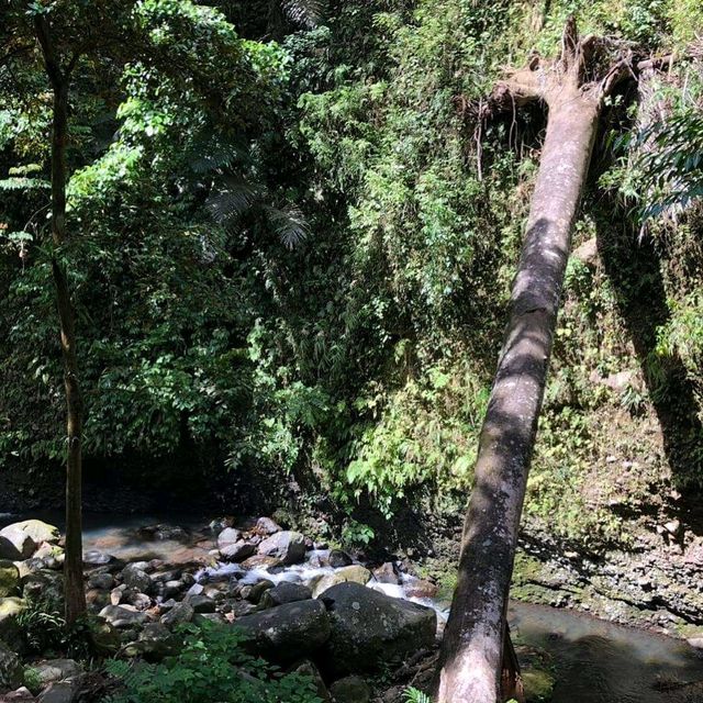 Feel the warm welcome of Banahaw Villa🏞️