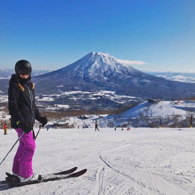 Niseko Blue Bird Day