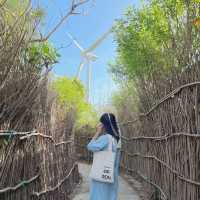 Beautiful healing trip in Phu Quy Island 