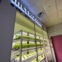 🇰🇷 Anguk station farming