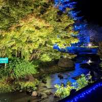 Holidays at Nabana no Sato, Mie Prefecture