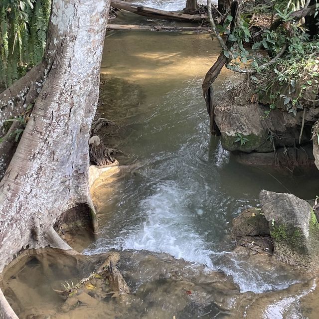 🏝️☕️ดื่มกาแฟ ดูน้ำตกสวย🌳💦