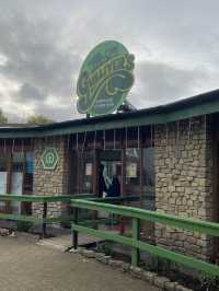 英國親子Staycation好去處 - Milton Keynes Gullivers Dinosaur & Farm Park