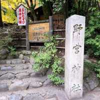 良縁・子宝・学問【野宮神社⛩️】✨