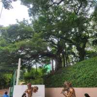 홍콩 침사추이에 위치한 구룡공원