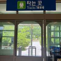 기차 간이역을 카페로 꾸며둔 정선 나전역카페