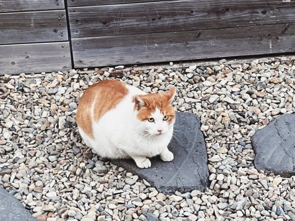 경주 황리단길 한옥스테이 하자! 신리고택