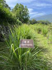 Nature Education Centre in Sai Kung