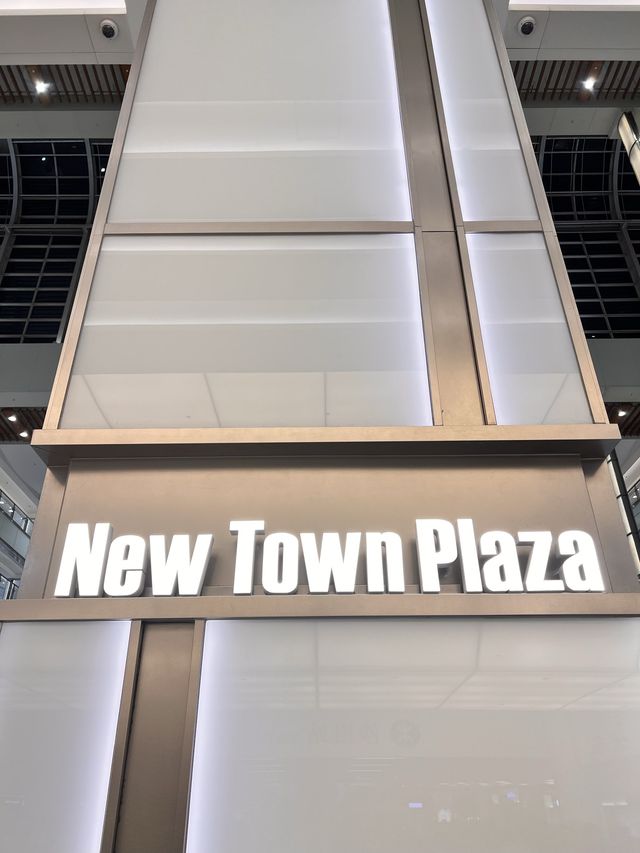 沙田區最大型廣場