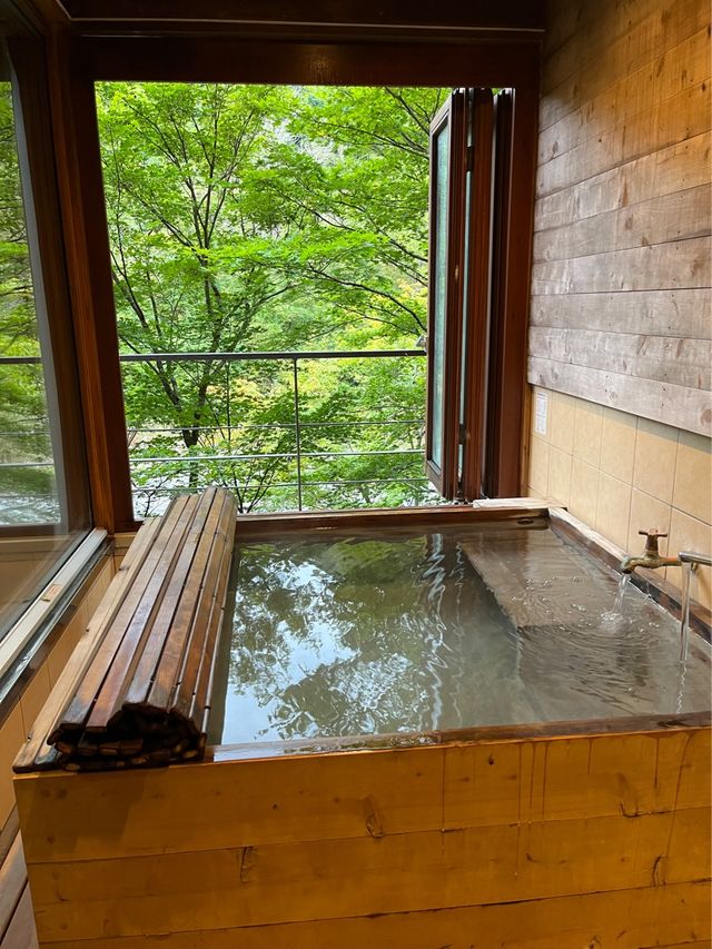 自然を感じたいなら間違いなくココ☘️