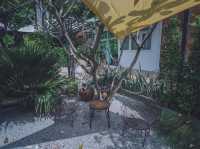 คาเฟ่ฟีลดีเหมือนนั่งเล่นบ้านเพื่อน