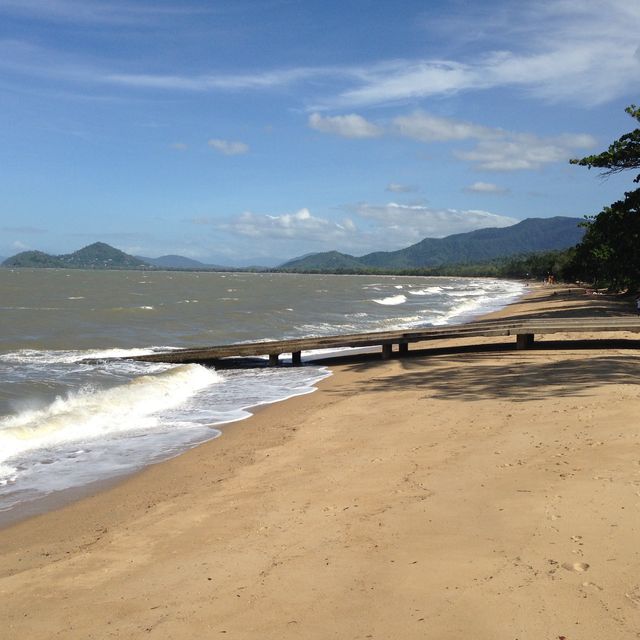 Palm Cove | Paradise  