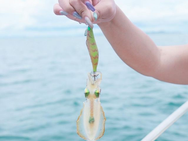 ปิคนิคเกาะไผ่ ล่องเรือตกหมึก