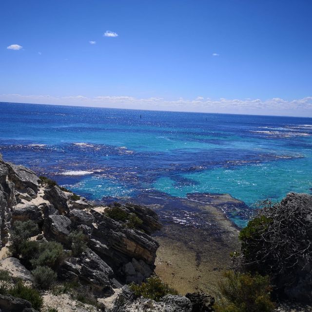 Rottnest island 