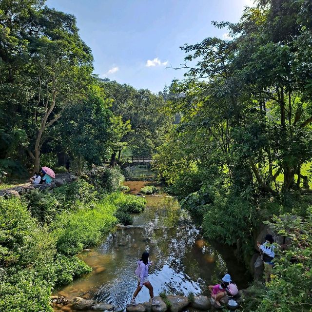 台北 | 隱藏在繁華市區內的生態祕境「大溝溪生態治水園區」！