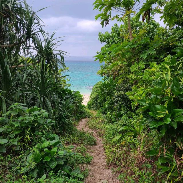 小浜島の南国リゾート【はいむるぶし】🌟