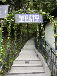 位於美孚遠離繁囂的寧靜Cafe：coffeeflow #打卡 #好去處