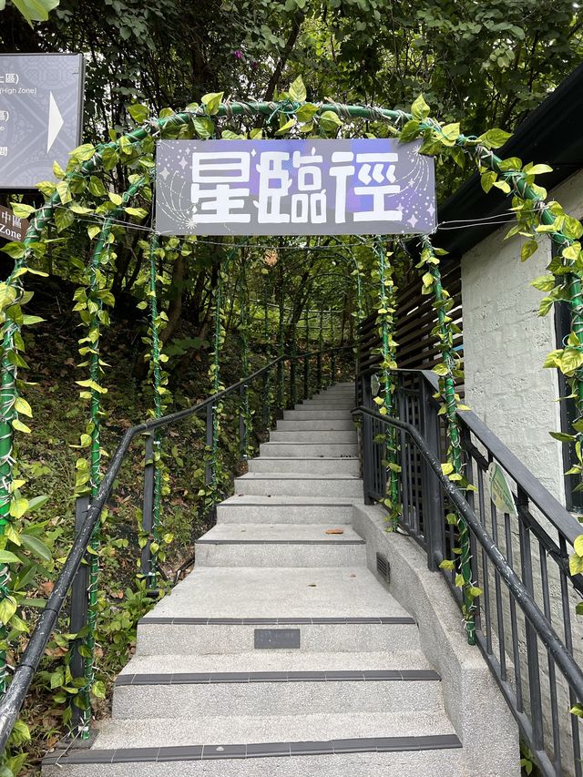 位於美孚遠離繁囂的寧靜Cafe：coffeeflow #打卡 #好去處