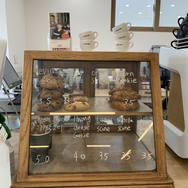 [🇰🇷, 창원]가로수길 쇼룸 감성의 핫한 카페, 가로수먼트 ☕️👚