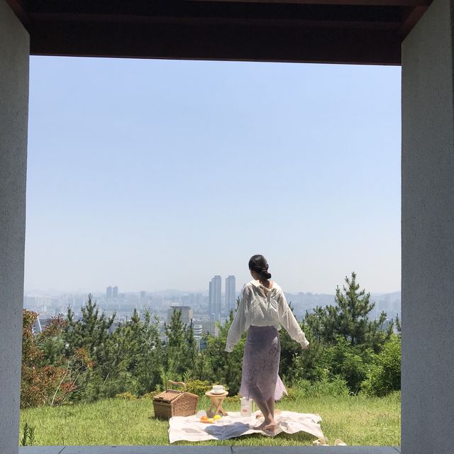 나만 알고 싶은 도심 속 피크닉 명소, 울산 "함월루"