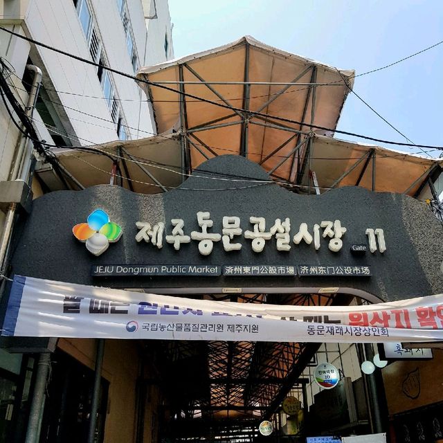 제주 푸드파이터 시장 ver. [동문 재래시장]