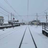 【長野電鉄🚃】特急ゆけむり のんびり号