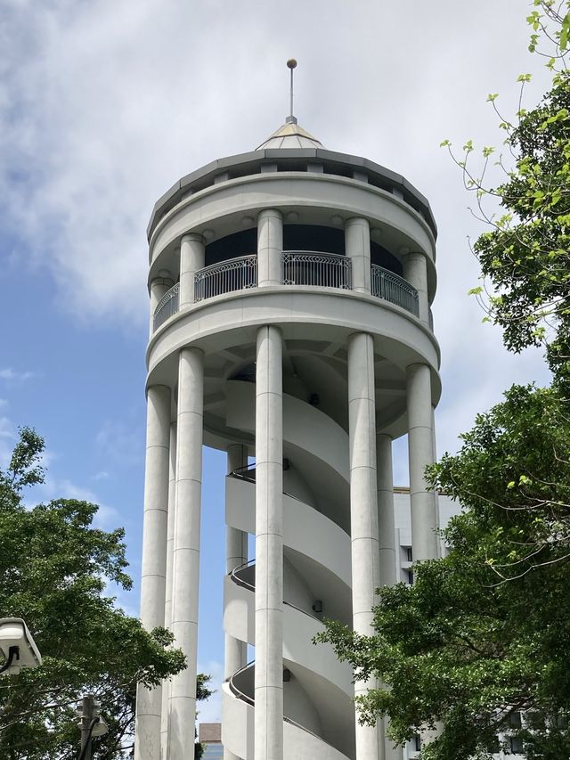 【市區散步好去處】香港公園｜欣賞小龜曬太陽。穿過大瀑布。登上鳥瞰角觀景台｜2小時散步路線