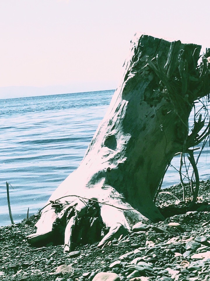 Sevan Travel Guide 2024 - Things to Do, What To Eat & Tips | Trip.com