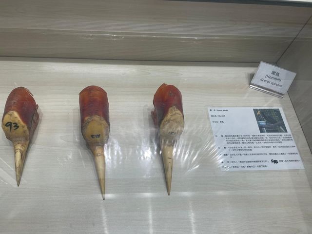 自然保育@展覽室！