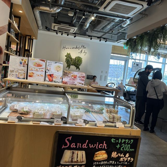 【柏の葉T-site】dogrunとTSUTAYA