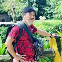 Trip Koh Trol $ Prey Nokor