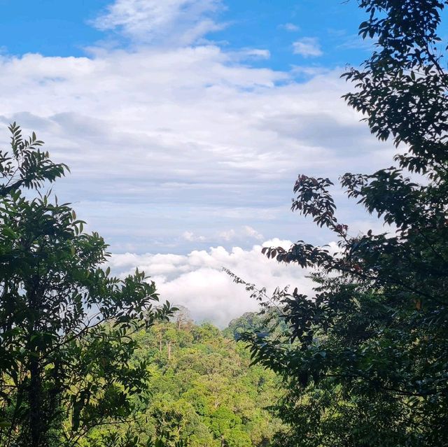 1.5hr steep trail to 654M ⛰️