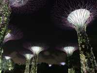 Colorful, Giant “Trees” at Gardens By The Bay