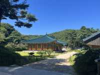 🇰🇷운치 있는 관동팔경~🙇‍♀️