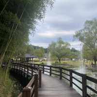 Juknokwon bamboo forest in Autumn