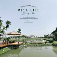 ร้านกาแฟบรรยากาศดี - หลีกหนีความวุ่นวายในเมืองใหญ่