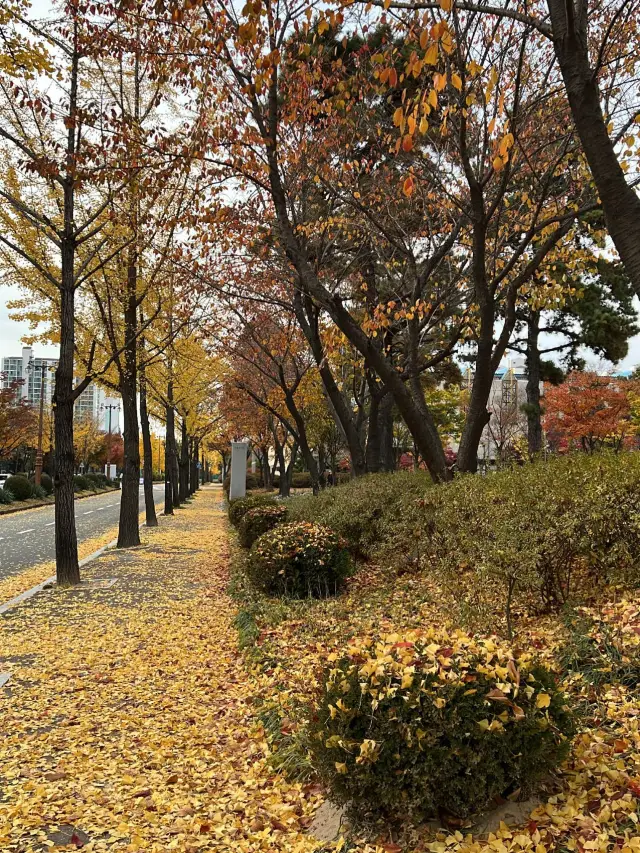 Autumn View of Samsung Library