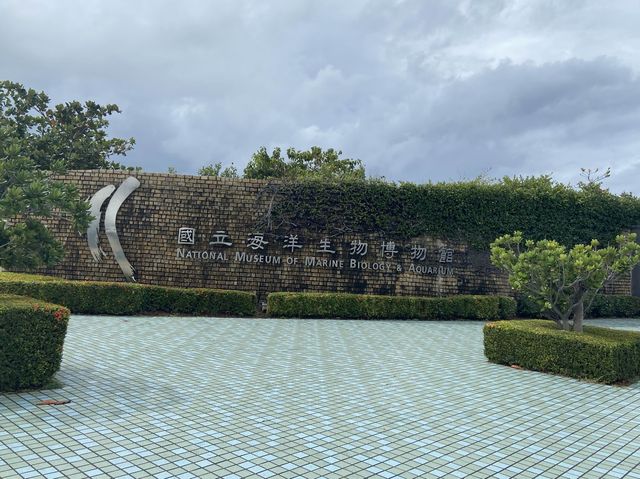 要看小白鯨和企鵝，就來海生館