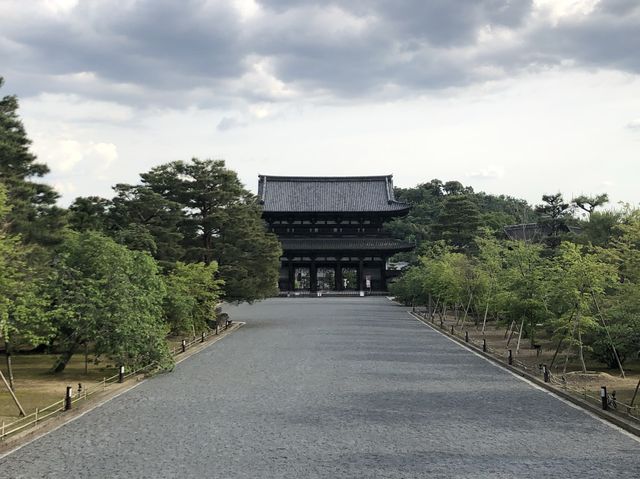 🌸京都 総本山！仁和寺をご紹介