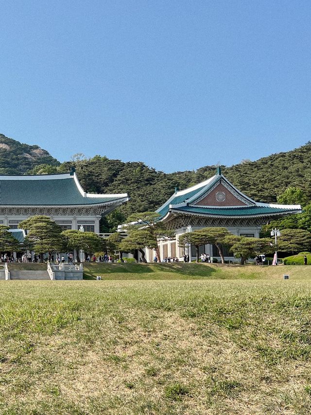 74년만에 국민에게 오픈된 청와대
