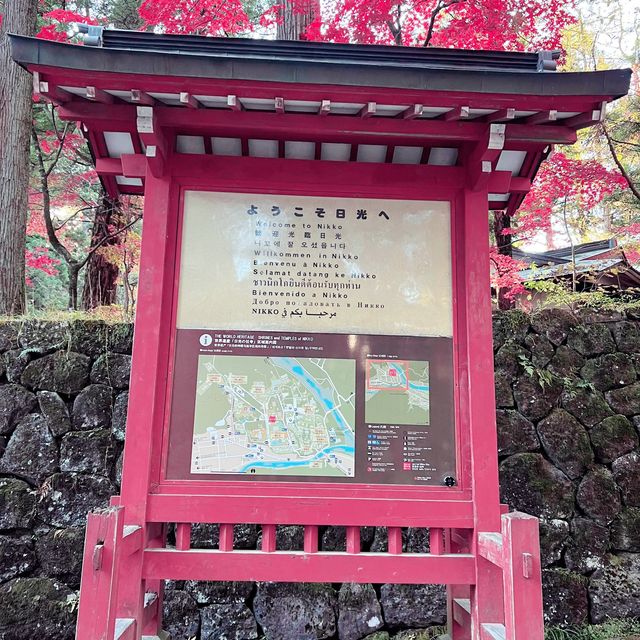 ศาลเจ้านิกโก้โทโชกุ⛩️