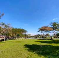 大溪河濱公園-落羽松區