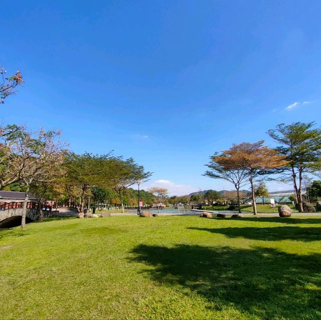 大溪河濱公園-落羽松區