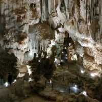 Experience Nature via Ha Long Bay Cruise