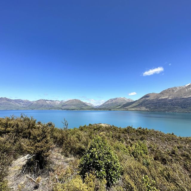 NZ 紐西蘭 南島 皇后鎮 Bennetts Bluff Viewpoint