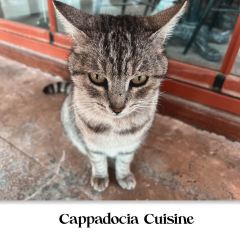 Cappadocian Cuisine User Photo