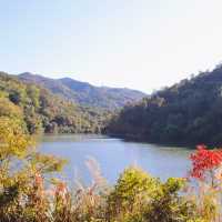 Red leaves @ Lau Shui Heung 