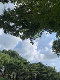 전주 필수 여행코스 추천🤎